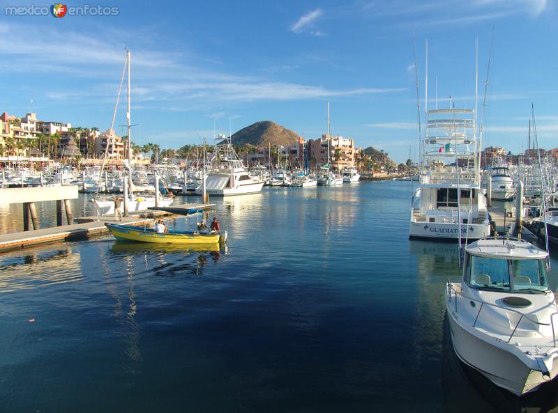 Fotos de Cabo San Lucas, Baja California Sur: Marina de Cabo San Lucas