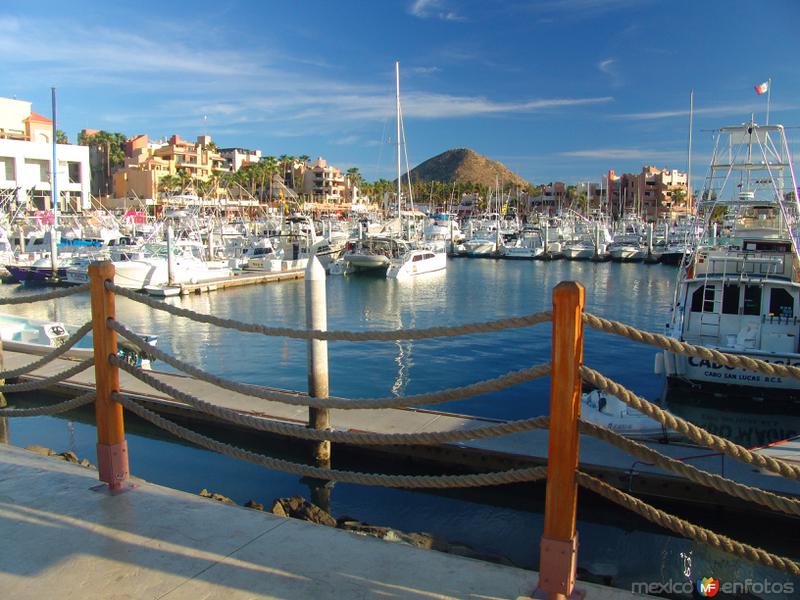 Fotos de Cabo San Lucas, Baja California Sur: Marina de Cabo San Lucas