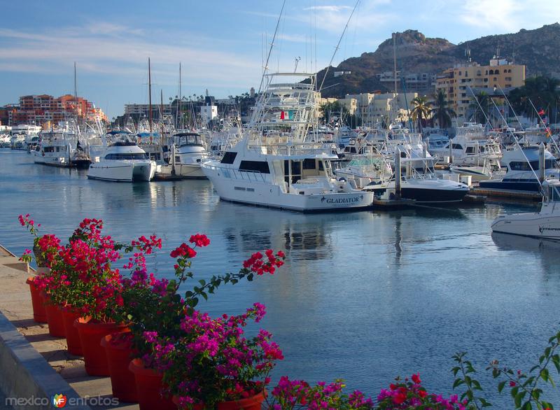 Fotos de Cabo San Lucas, Baja California Sur: Marina de Cabo San Lucas