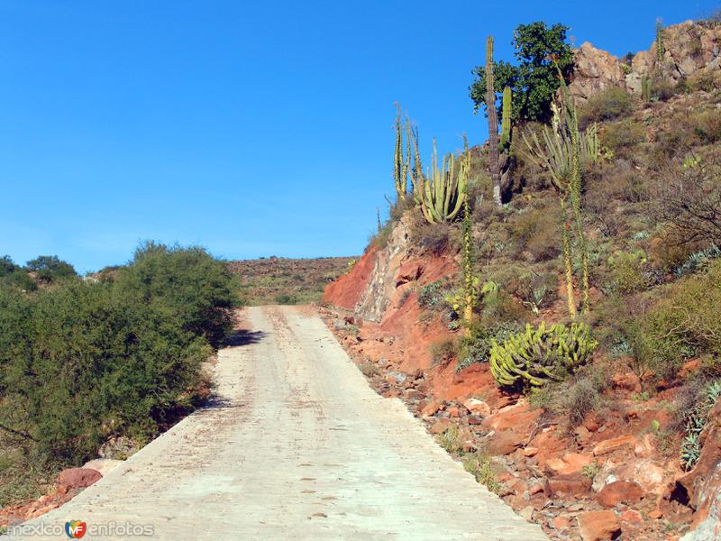 Fotos de San Francisco De La Sierra, Baja California Sur: Camino a San Francisco de la Sierra