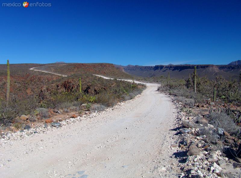 Fotos de San Francisco De La Sierra, Baja California Sur: Camino a San Francisco de la Sierra