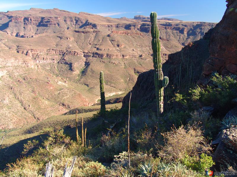 Fotos de San Francisco De La Sierra, Baja California Sur: Sierra de San Francisco