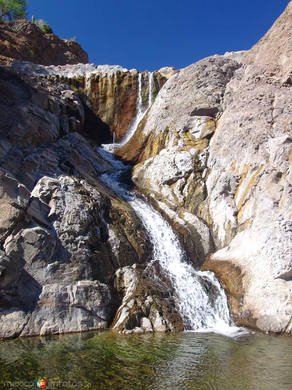 Fotos de San Javier, Baja California Sur: Cascada