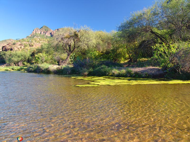 Fotos de San Javier, Baja California Sur: Sierra de la Giganta