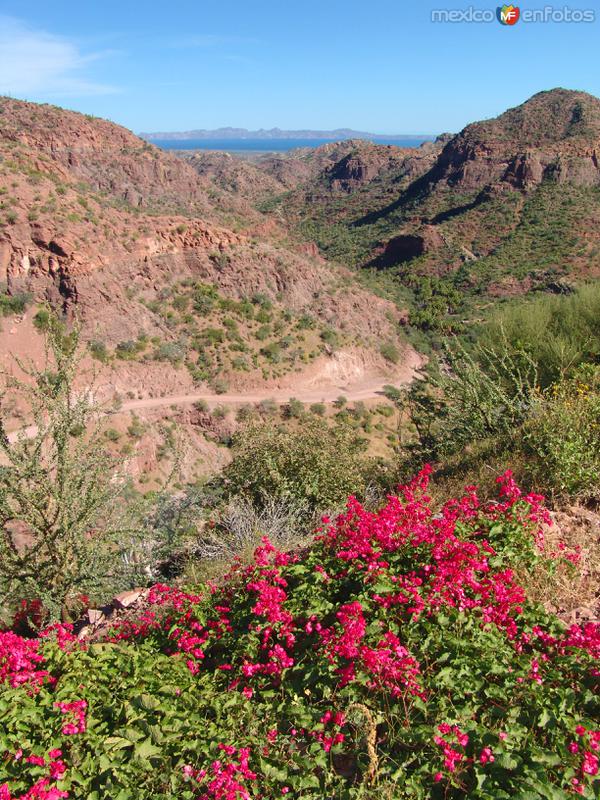 Fotos de San Javier, Baja California Sur: Sierra de la Giganta