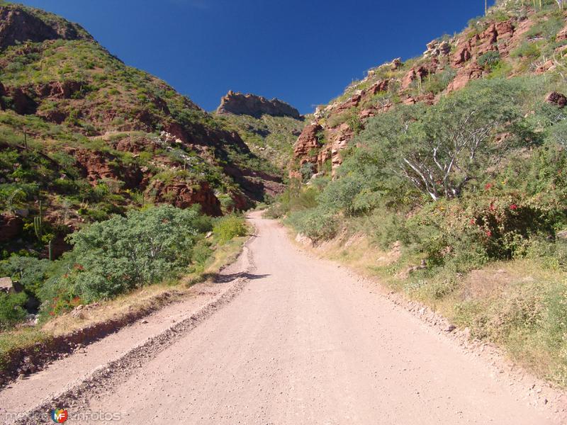 Fotos de San Javier, Baja California Sur: Sierra de la Giganta