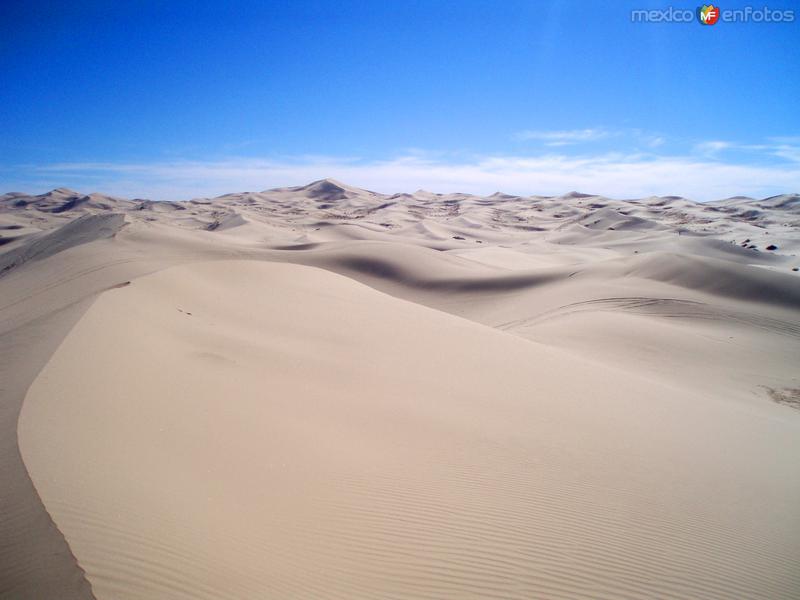 Fotos de Samalayuca, Chihuahua: dunas