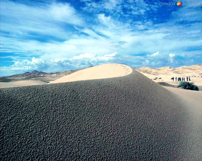 Fotos de Samalayuca, Chihuahua: Dunas