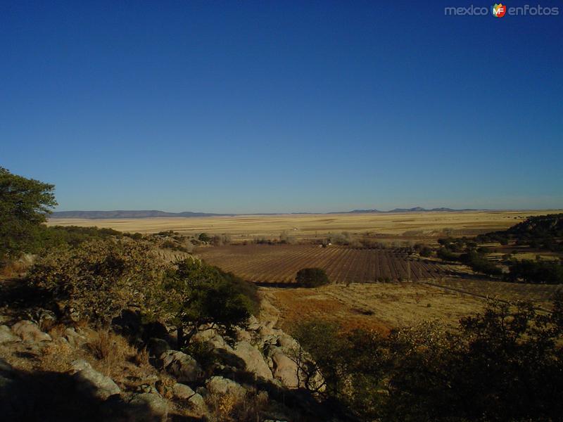 Fotos de Riva Palacio, Chihuahua: Campos de siembra en Sainapuchi