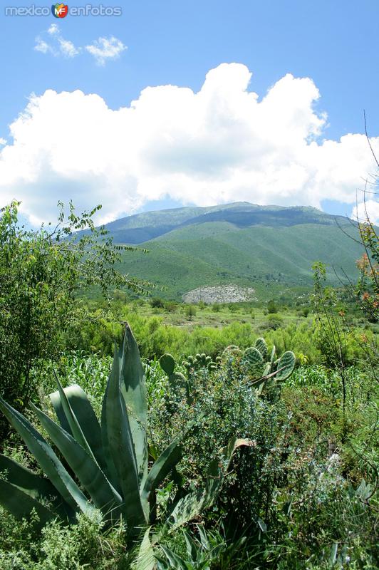 Fotos de Galeana, Nuevo León: CERRO DEL POTOSI