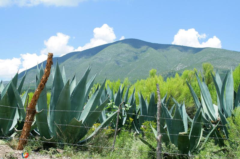 Fotos de Galeana, Nuevo León: CERRO DEL POTOSI