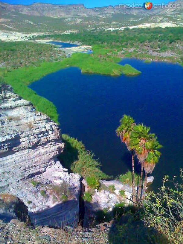 Fotos de La Purísima, Baja California Sur: OASIS