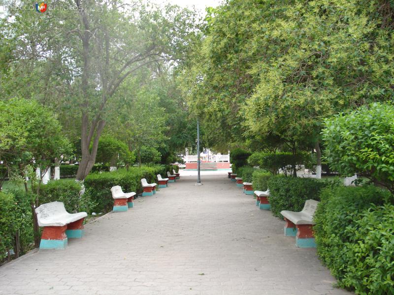 Fotos de Aldama, Chihuahua: Plaza principal de Aldama Chihuahua