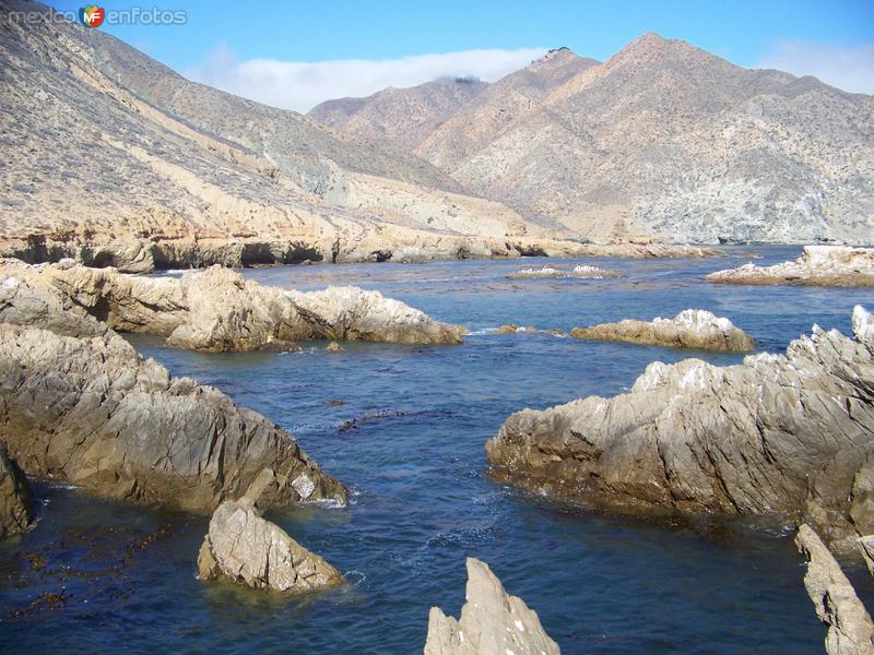 Fotos de Isla De Cedros, Baja California: Isla de Cedros Punta norte