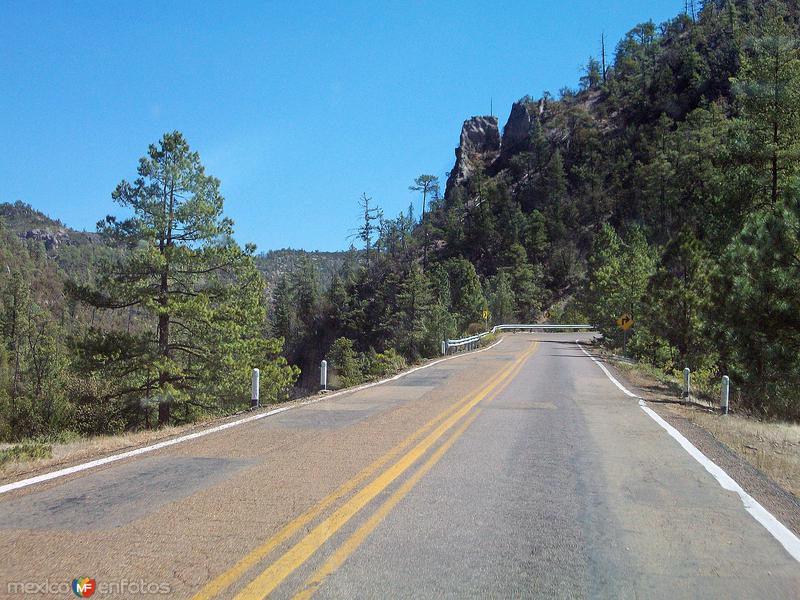 Fotos de Madera, Chihuahua: Cerca Del Rio Chico