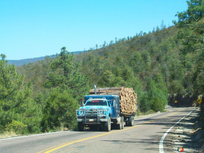 Fotos de Madera, Chihuahua: trailer cargado de madera