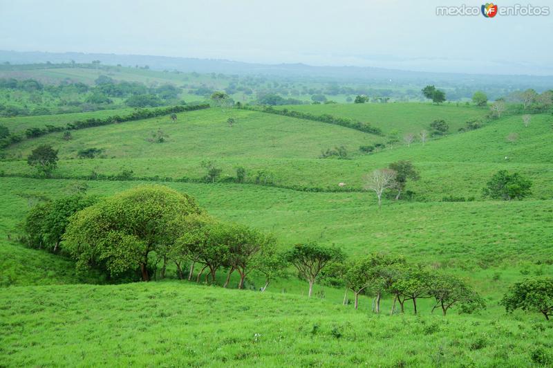 Fotos de Tempoal, Veracruz: CAMINO POR LA SIERRA DE PANUCO A TEMPOAL