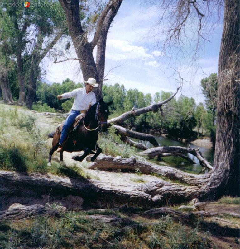 Fotos de La Loma, Durango: Vaquero