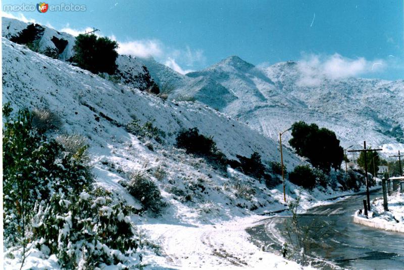 Fotos de Concepción Del Oro, Zacatecas: Grasero Nevado