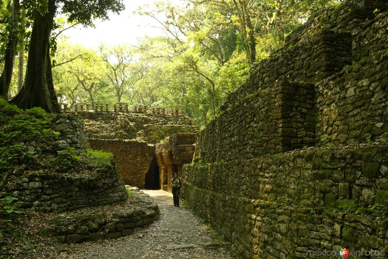 Fotos de Yaxchilán, Chiapas: Zona arqueologica de Yaxchilan