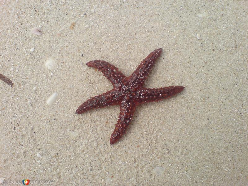 Fotos de San Felipe, Yucatán: Natural