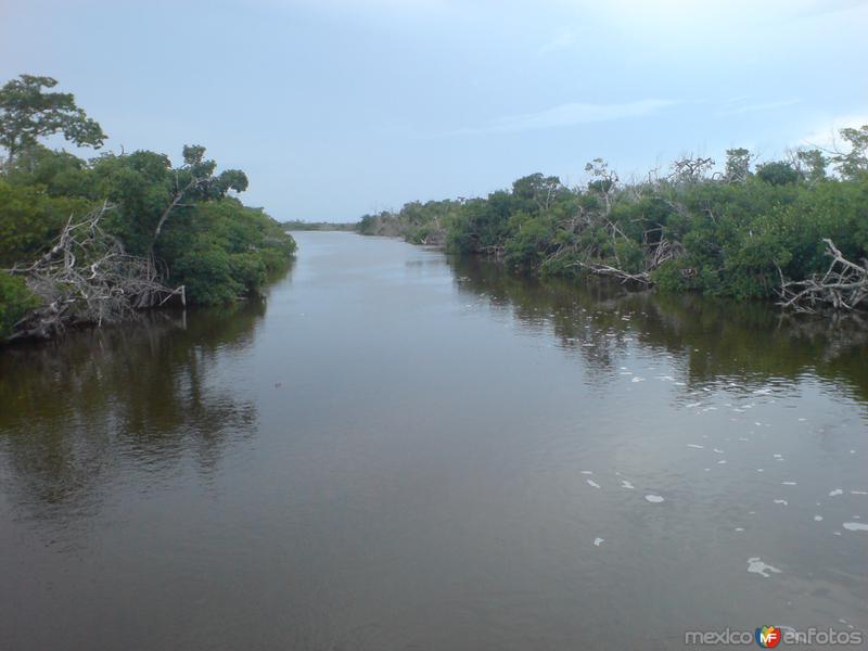 Fotos de San Felipe, Yucatán: La Ria