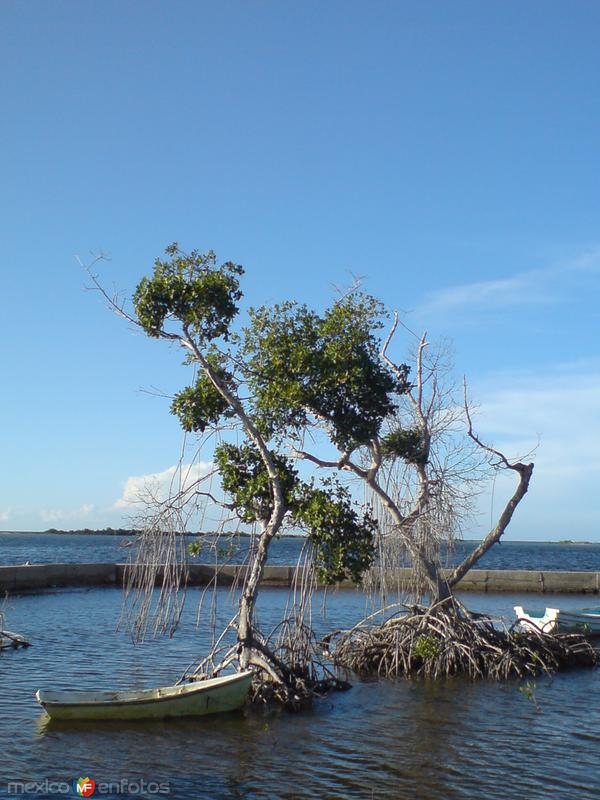 Fotos de San Felipe, Yucatán: Mirame