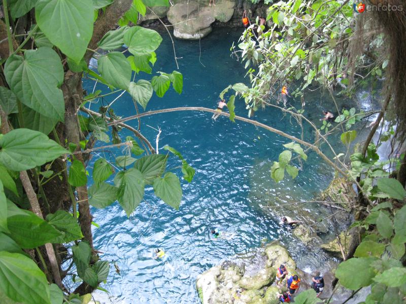 Fotos de Tamasopo, San Luis Potosí: Alberca natural en tamasopo