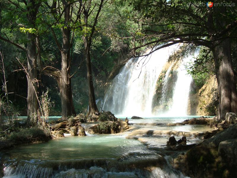 Fotos de Cascadas De El Chiflón, Chiapas: Cascadas de El Chiflón