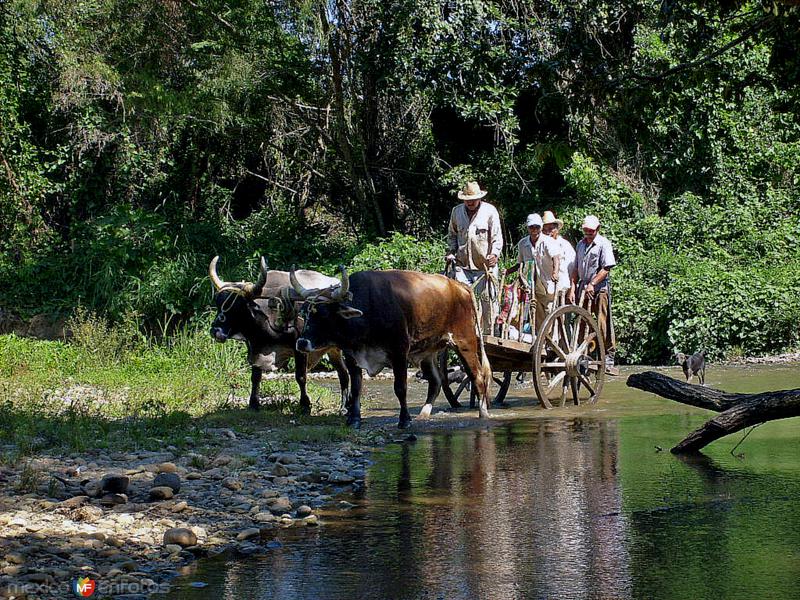 Fotos de Matías Romero, Oaxaca: carreta