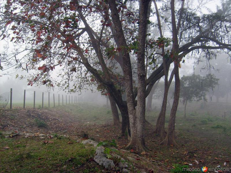 Fotos de Matías Romero, Oaxaca: mañana de niebla