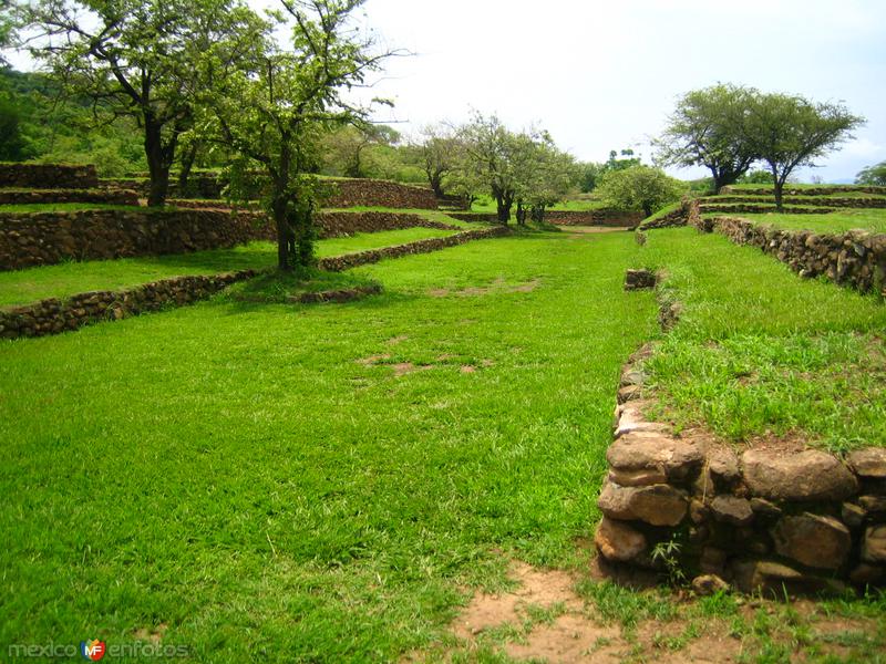 Fotos de Teuchitlán, Jalisco: Guachimontones