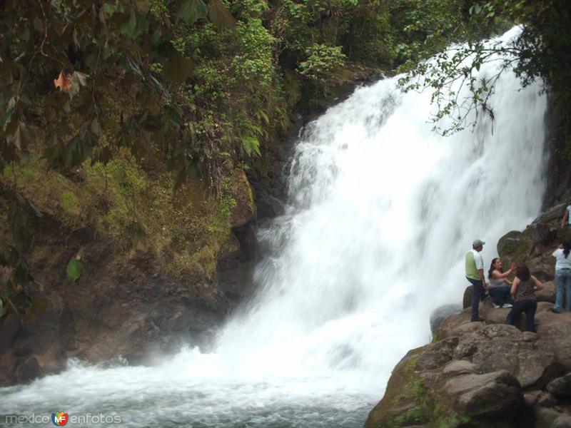 Fotos de Xico, Veracruz: Cascada de la Monja