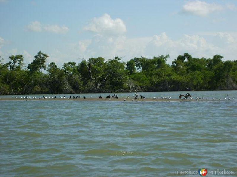 Fotos de Tecolutla, Veracruz: Tecolutla de mañana