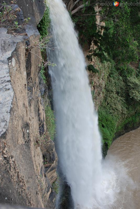 Fotos de Cerro Gordo, Veracruz: cascada desde arriba