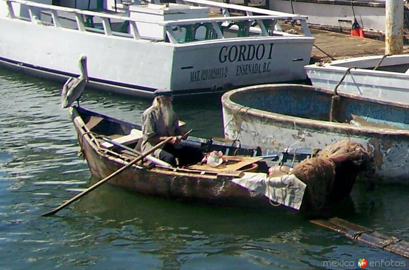 Fotos de Ensenada, Baja California: El viejo y el mar