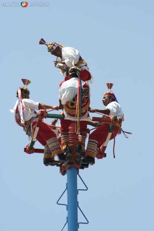 Fotos de El Tajín, Veracruz: VOLADORES DE PAPANTLA