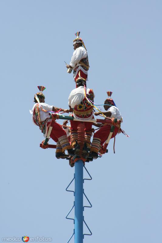 Fotos de El Tajín, Veracruz: Voladores de papantla