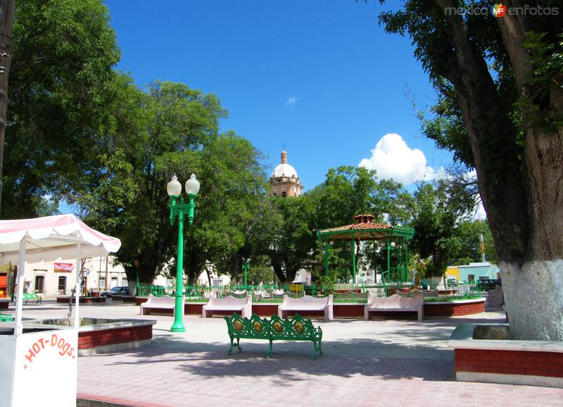 Fotos de Valle De Allende, Chihuahua: Plaza principal de Valle de Allende