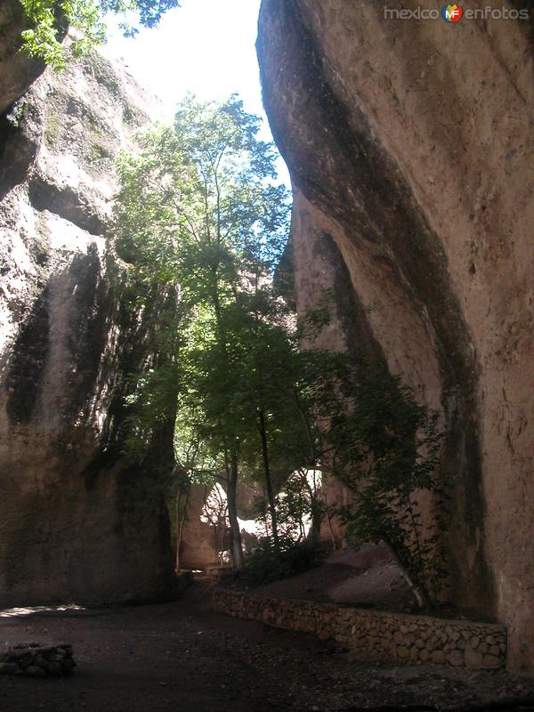 Fotos de San Francisco De Borja, Chihuahua: San Francisco de Borja