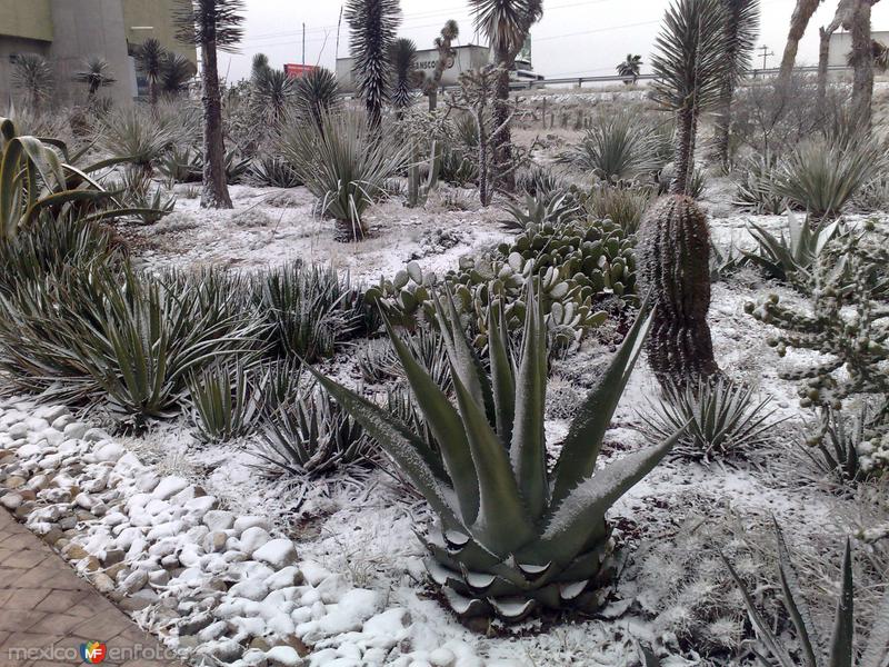 Fotos de Ramos Arizpe, Coahuila: una segunda postal