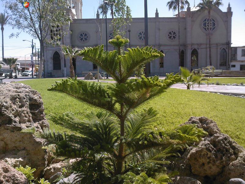 Fotos de Santa Ana, Sonora: La Iglesia desde la Nueva Plaza