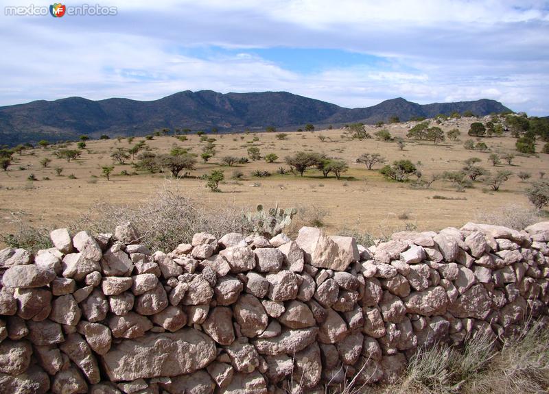 Fotos de Villa De Zaragoza, San Luis Potosí: Cerros. Llegando al puerto de El Ranchito desde Zaragoza