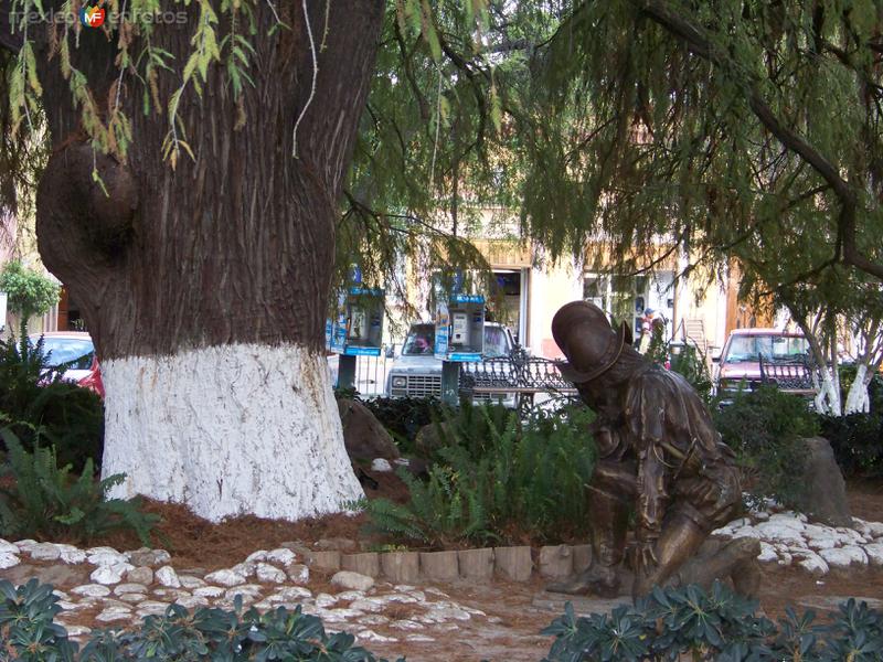 Fotos de Dolores Hidalgo, Guanajuato: Arbol de la noche triste