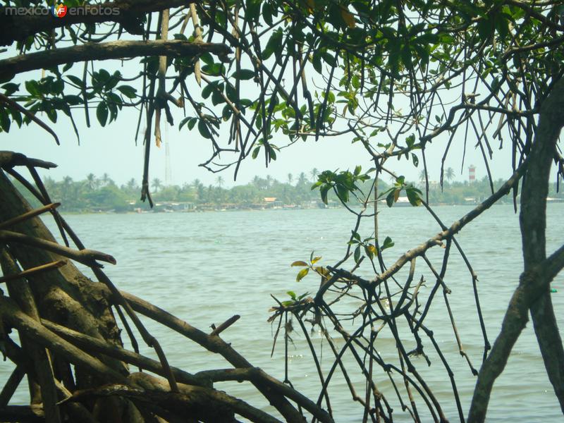 Fotos de Agua Dulce, Veracruz: Tonala desde los Manglares