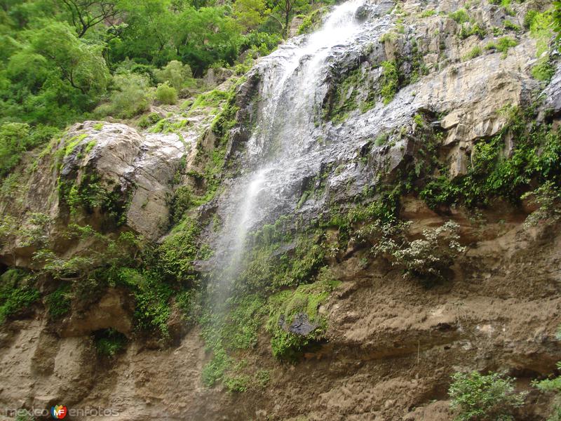 Fotos de Jomulco, Nayarit: EL SALTO