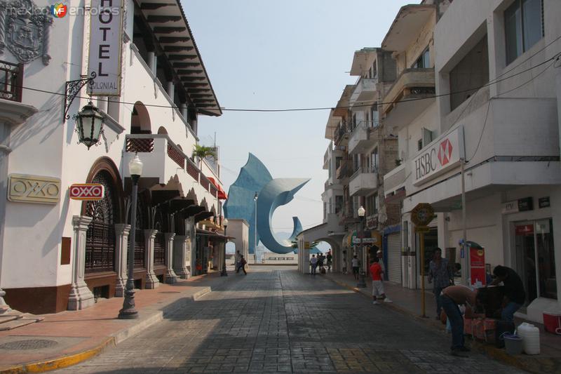 Fotos de Manzanillo, Colima: The sailfish from Avenida mexico