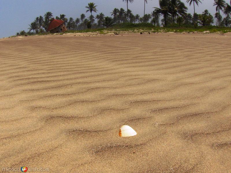 Fotos de Gutiérrez Zamora, Veracruz: sola en la inmensidad de la arena