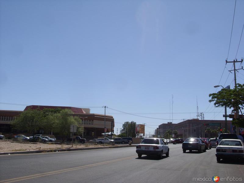 Fotos de Hermosillo, Sonora: MUSAS