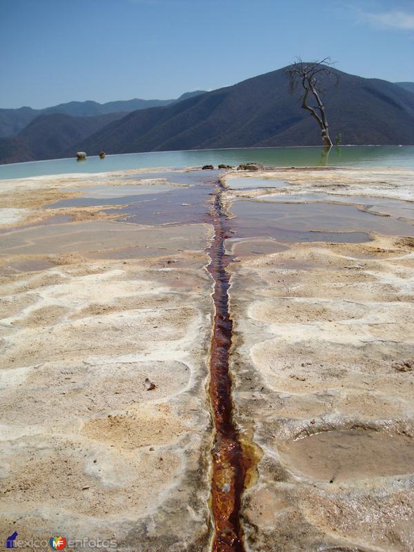 Fotos de San Lorenzo Albarradas, Oaxaca: manantial de hierve el agua 3